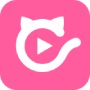 猫咪短视频app