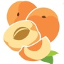 杏色直播app