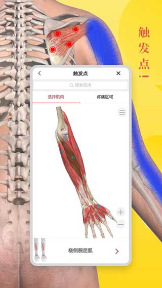 3Dbody解剖学安卓版免费下载