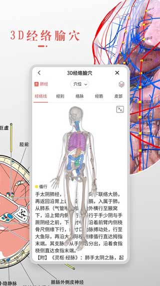 3Dbody解剖学苹果版最新下载地址