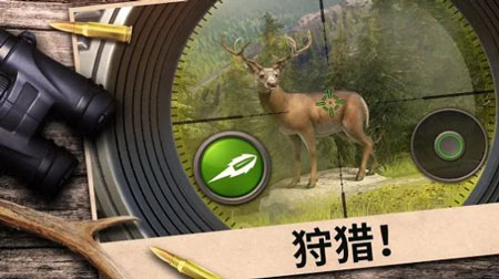 狩猎竞赛挑战破解版中文下载