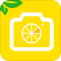 柠檬水印相机