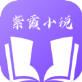 紫霞小说app
