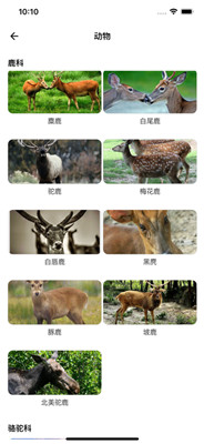 动植物大全app下载中文苹果版