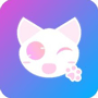 小奶猫直播app