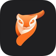 Pixaloop安卓中文版
