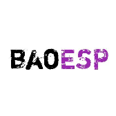 baoESP2.1.6