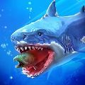 鲨鲨进化论最新