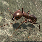 蚂蚁模拟器3d安卓