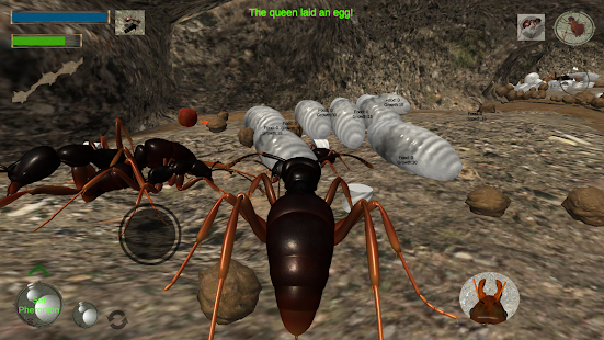 蚂蚁模拟器3d安卓