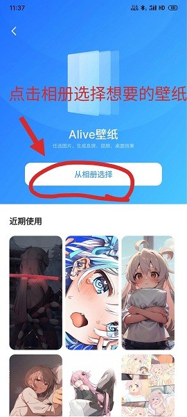 alive壁纸app