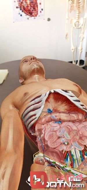2020人体解剖学图谱苹果版