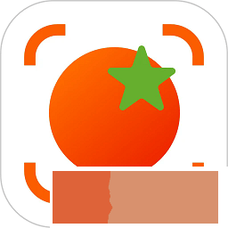 番茄扫描app